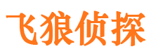 元宝市婚姻调查